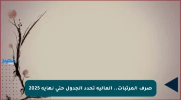 صرف المرتبات.. المالية تحدد الجدول حتى نهاية 2025